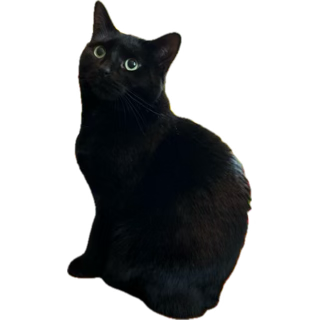 test other